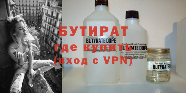 индика Гусь-Хрустальный