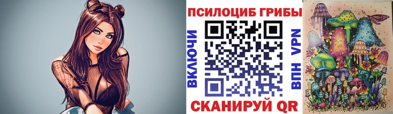 Галлюциногенные грибы мицелий  Аргун 
